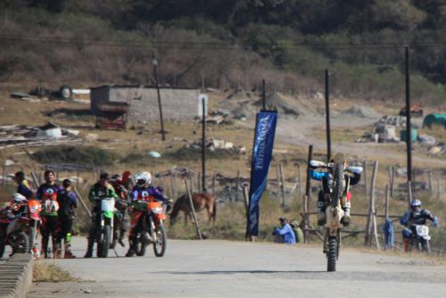 IMG 5280 (2) (Medium)