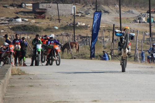 IMG 5281 (2) (Medium)