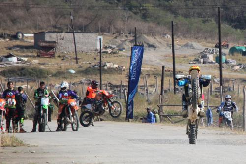 IMG 5283 (2) (Medium)