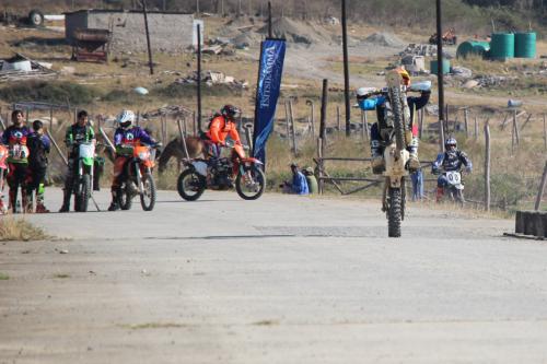 IMG 5284 (2) (Medium)