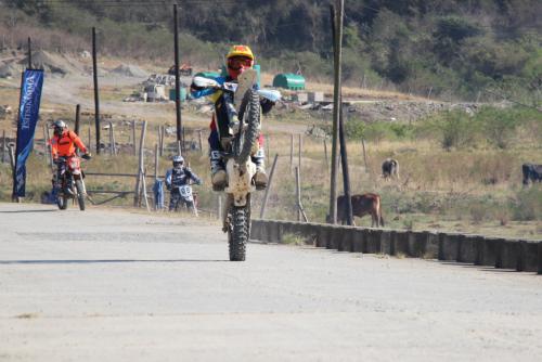 IMG 5287 (2) (Medium)