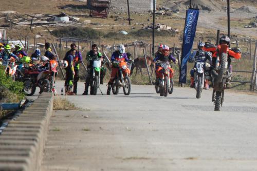 IMG 5296 (2) (Medium)