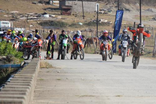 IMG 5297 (2) (Medium)