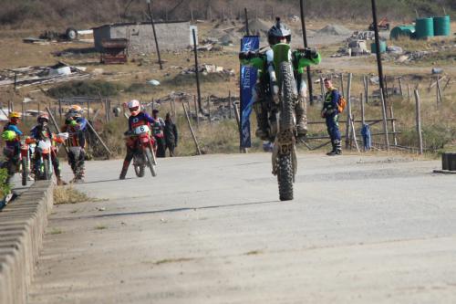 IMG 5331 (2) (Medium)