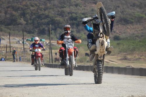 IMG 5372 (2) (Medium)