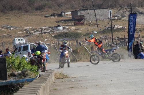 IMG 5424 (2) (Medium)