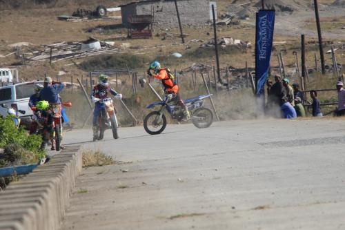 IMG 5425 (2) (Medium)