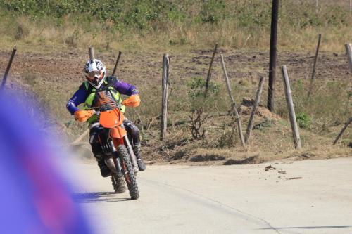 IMG 5513 (2) (Medium)